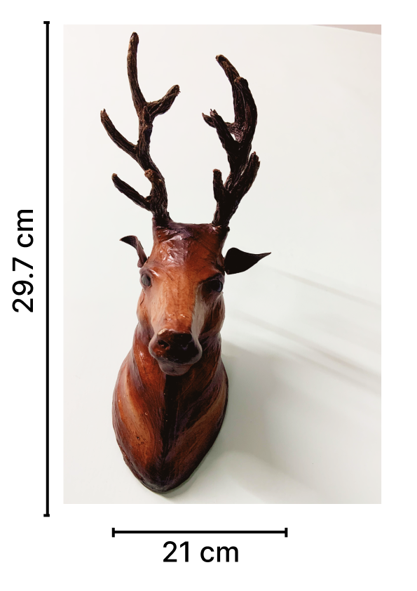Deer Head Wall Hanging showpiece for Home Decoration - Image 4
